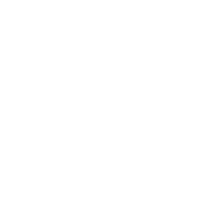 MAXIMILIAN Eastern Europe 500x500_white